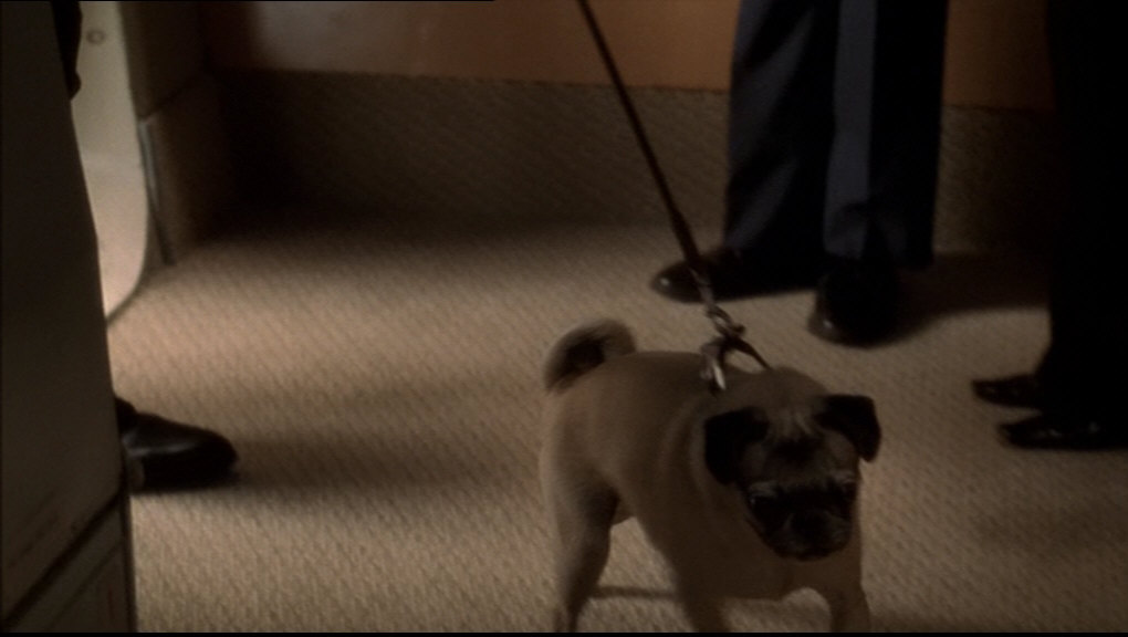 s05e10_226